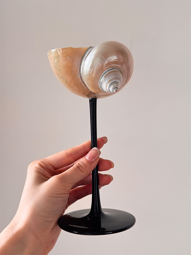 Home Bar Set - Verre à Champagne en coquille de